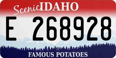 ID license plate E268928
