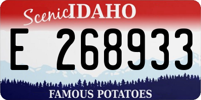 ID license plate E268933