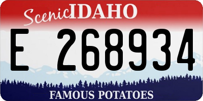 ID license plate E268934