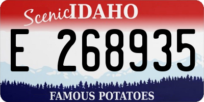 ID license plate E268935