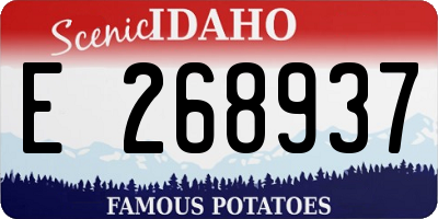 ID license plate E268937