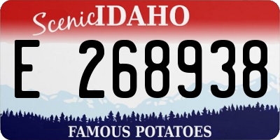 ID license plate E268938