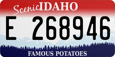 ID license plate E268946