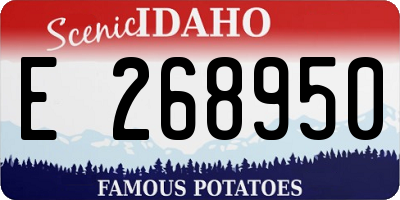 ID license plate E268950