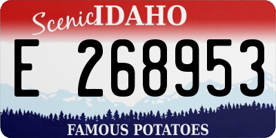 ID license plate E268953