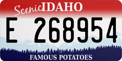 ID license plate E268954