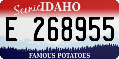 ID license plate E268955
