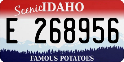 ID license plate E268956