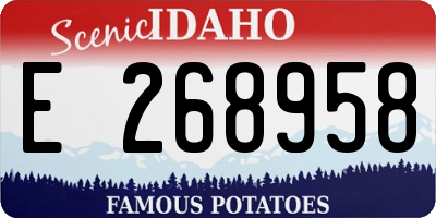 ID license plate E268958