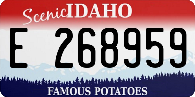 ID license plate E268959