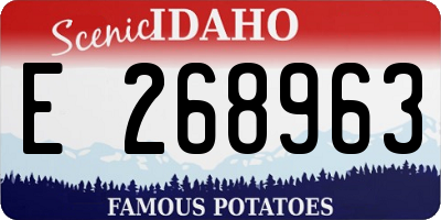 ID license plate E268963
