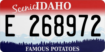 ID license plate E268972