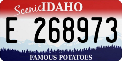 ID license plate E268973