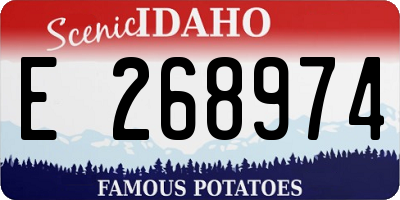 ID license plate E268974