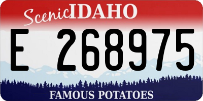 ID license plate E268975