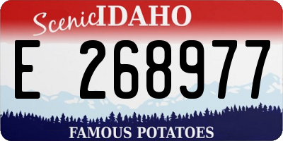 ID license plate E268977