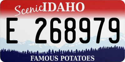 ID license plate E268979