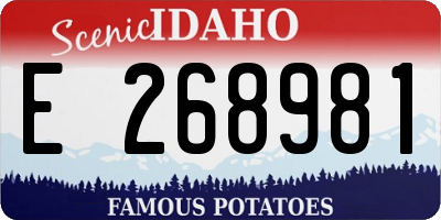 ID license plate E268981