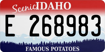 ID license plate E268983
