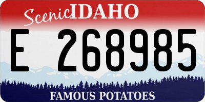 ID license plate E268985
