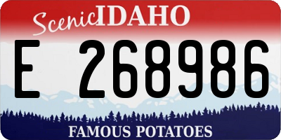 ID license plate E268986