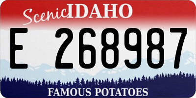 ID license plate E268987