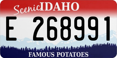 ID license plate E268991