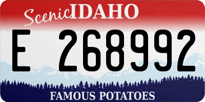ID license plate E268992