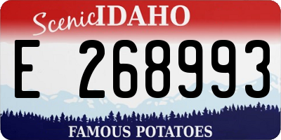 ID license plate E268993