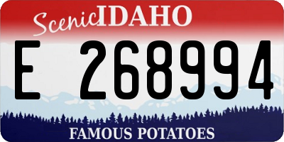ID license plate E268994