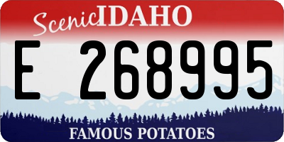 ID license plate E268995