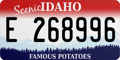 ID license plate E268996