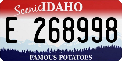 ID license plate E268998