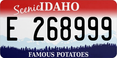 ID license plate E268999