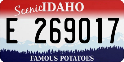 ID license plate E269017
