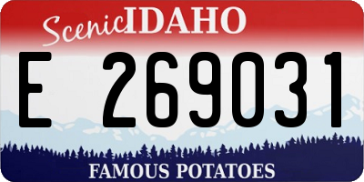 ID license plate E269031