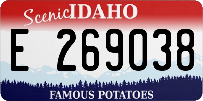 ID license plate E269038