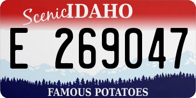 ID license plate E269047