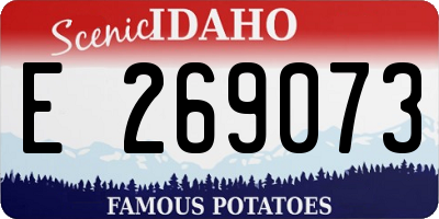 ID license plate E269073