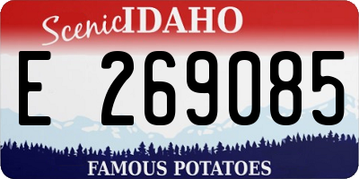 ID license plate E269085