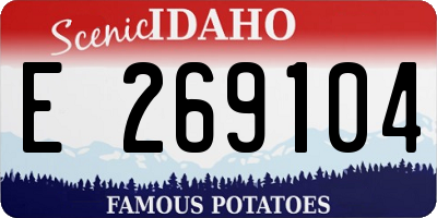 ID license plate E269104