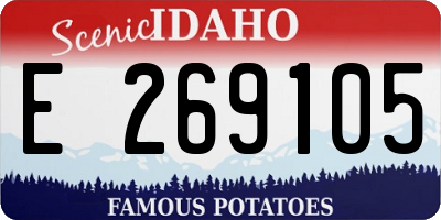 ID license plate E269105