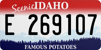 ID license plate E269107