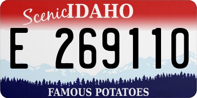 ID license plate E269110