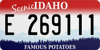 ID license plate E269111