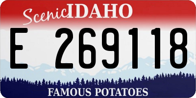 ID license plate E269118