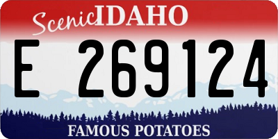 ID license plate E269124