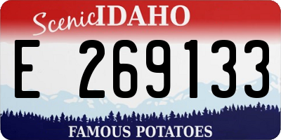 ID license plate E269133
