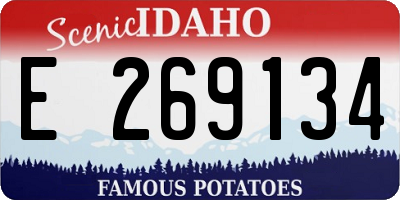 ID license plate E269134