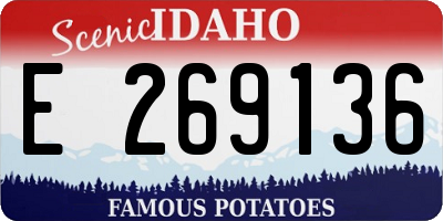ID license plate E269136